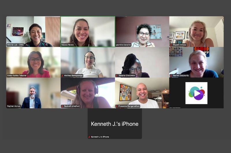 Screenshot of a Zoom meeting showing 13 participants, including DSO board and staff members.